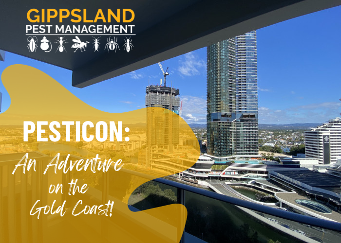 Tara and Katie Take on Pesticon: A Star-Studded Adventure on the Gold Coast!