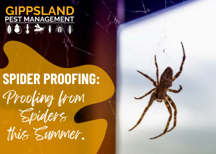 Proofing from spiders this summer